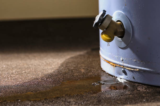 Best Ceiling water damage repair  in Hazel Dell, WA