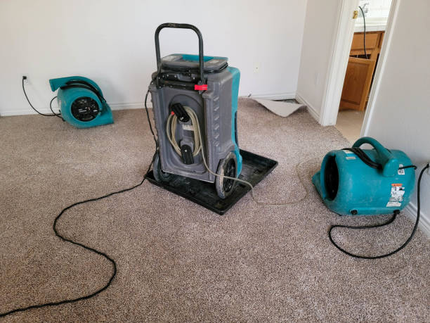 Best Residential water damage restoration  in Hazel Dell, WA