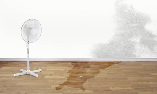 Best 24-hour water damage restoration  in Hazel Dell, WA